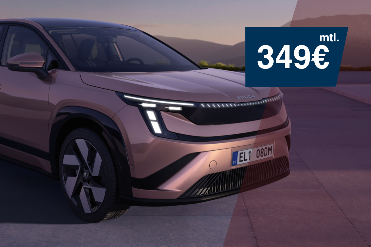 Peaq Selection 60 204 PS